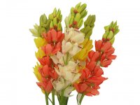 Flores Artificiales