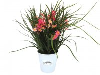 Flores Artificiales